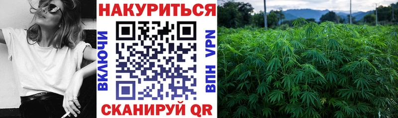 Названия наркотиков Пенза Каннабис  Метадон  АМФЕТАМИН  Мефедрон  A-PVP 