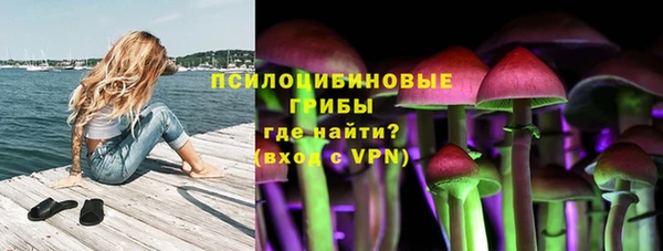 твердый Алексеевка