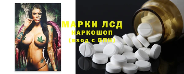 мет Алексин