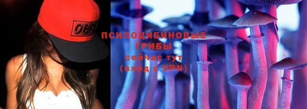 твердый Алексеевка