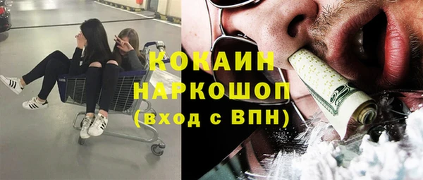 сатива Алзамай