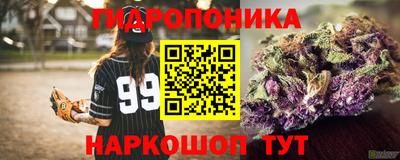 трава Кингисепп