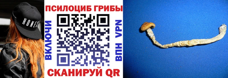 Галлюциногенные грибы ЛСД  Пенза 