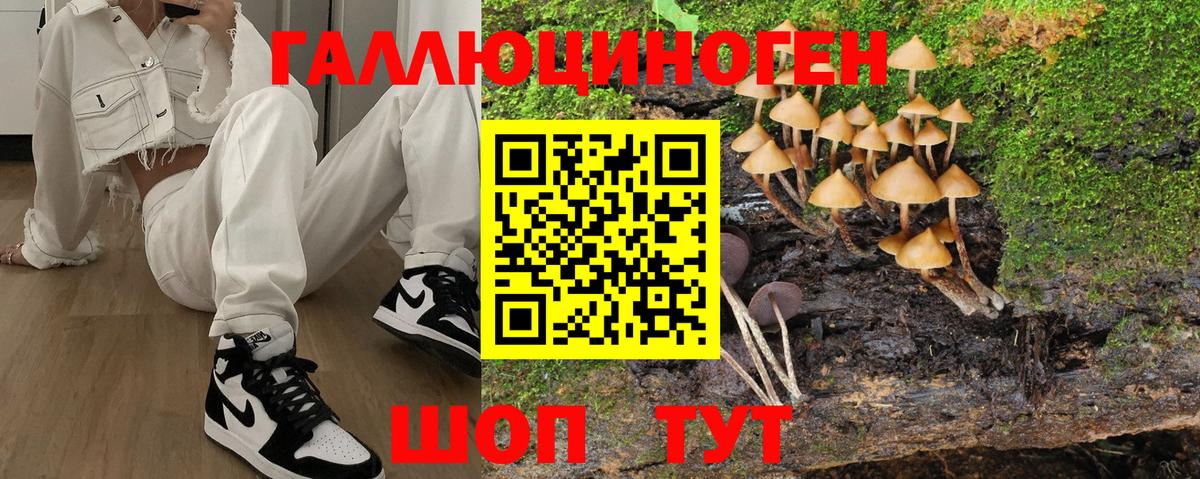 Галлюциногенные грибы мухоморы Пенза