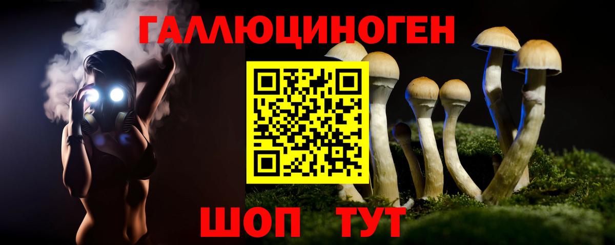 Пенза  Галлюциногенные грибы Cubensis  Вход с VPN  Галлюциногенные грибы GOLDEN TEACHER 